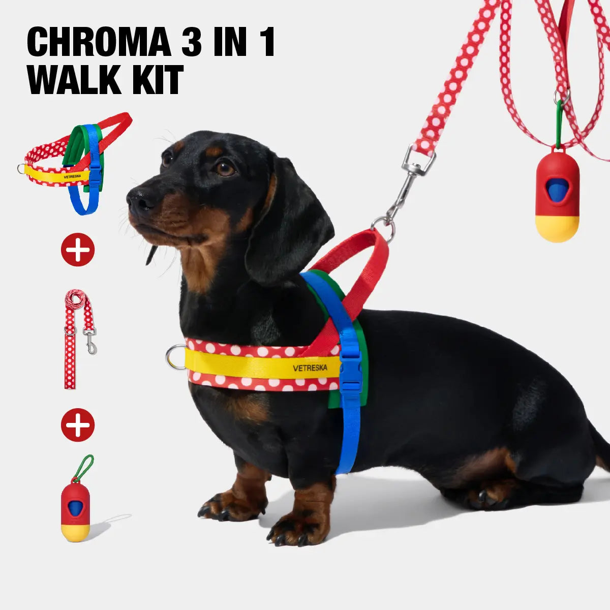 VETRESKA Moma Adjustable Dog Harness and Leash Set for Small to Medium Dogs, No Pull Design for Walking and Training, Anti-Twist Pet Lead Combo