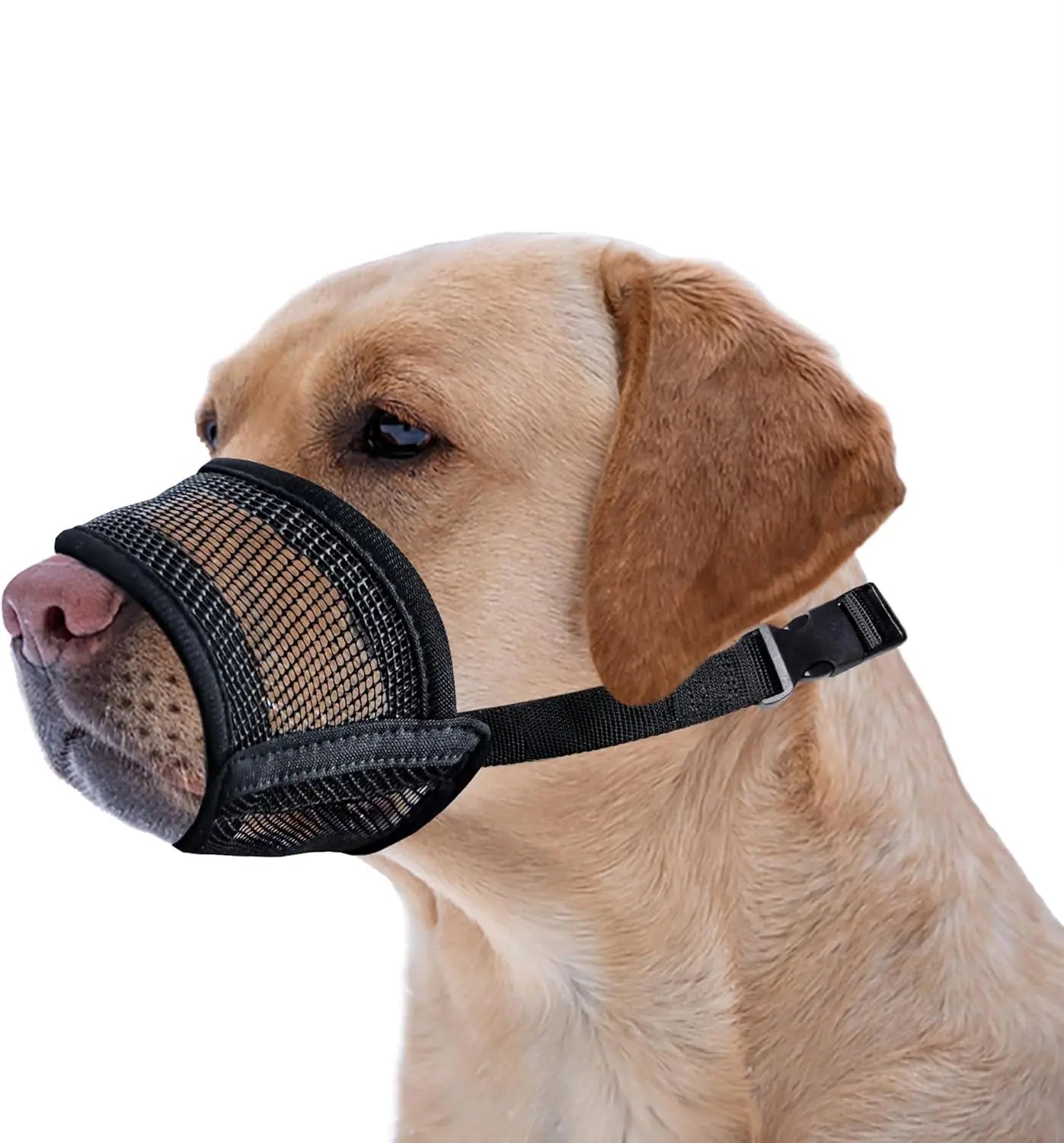 Adjustable Air Mesh Dog Muzzle for Various Breeds - Prevents Biting, Chewing, and Licking