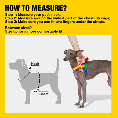 VETRESKA Moma Adjustable Dog Harness and Leash Set for Small to Medium Dogs, No Pull Design for Walking and Training, Anti-Twist Pet Lead Combo