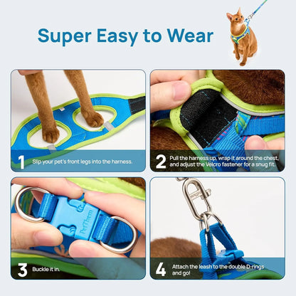 Petthem Adjustable Reflective Cat Harness and Leash Set, Soft Mesh Vest for Comfortable and Secure Outdoor Walks, Lightweight and Escape-Proof Design for Cats and Small Dogs
