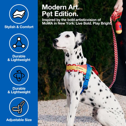 VETRESKA Moma Adjustable Dog Harness and Leash Set for Small to Medium Dogs, No Pull Design for Walking and Training, Anti-Twist Pet Lead Combo