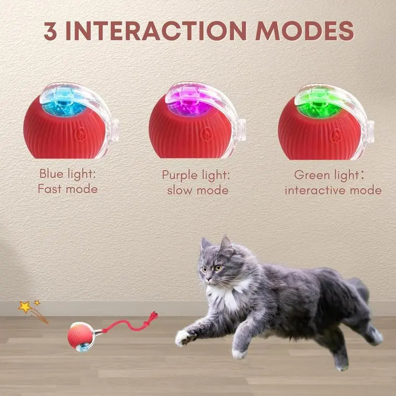 Interactive USB-Charged Rolling Ball Cat Toy with Teasing Stick - Durable, Safe, and Engaging for All Breeds