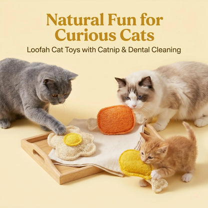 3 Pack Chicken Series Loofah Chew Toys for Cats & Dogs, Chicken Leg Bone Drumstick Egg Natural Plant Fiber Pet Toy with Catnip & Silvervine, Antibacterial Molar Teeth Cleaning Interactive Toy, Non-Toxic Biodegradable