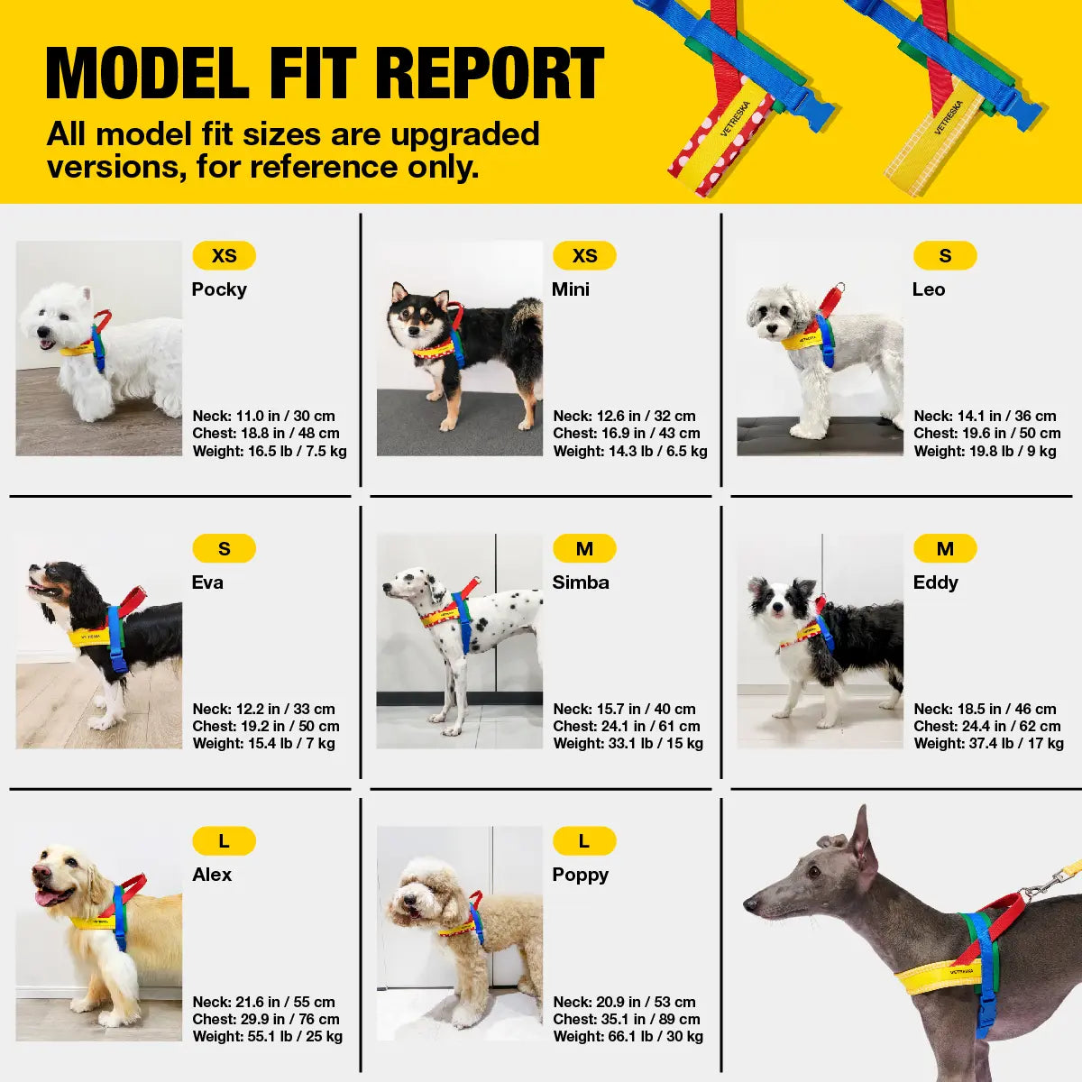 VETRESKA Moma Adjustable Dog Harness and Leash Set for Small to Medium Dogs, No Pull Design for Walking and Training, Anti-Twist Pet Lead Combo