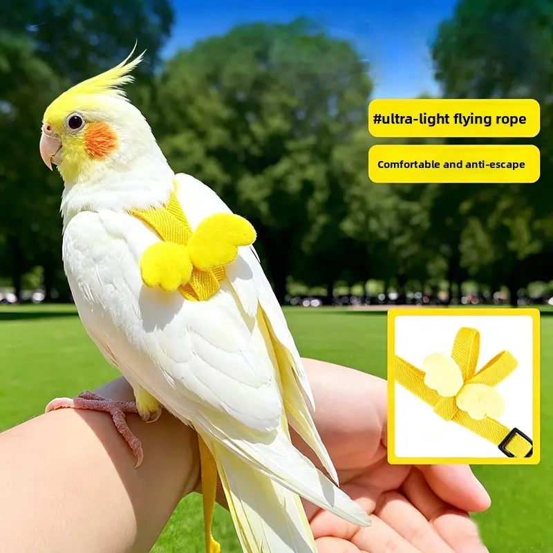 Parrot Harness & Leash Set with Adjustable Vest, Anti-Escape Ultra-Lightweight Bird Training Accessory with Elastic Cords for Cockatiels, Conures (Outdoor Flying Use)
