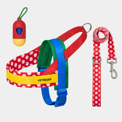 VETRESKA Moma Adjustable Dog Harness and Leash Set for Small to Medium Dogs, No Pull Design for Walking and Training, Anti-Twist Pet Lead Combo