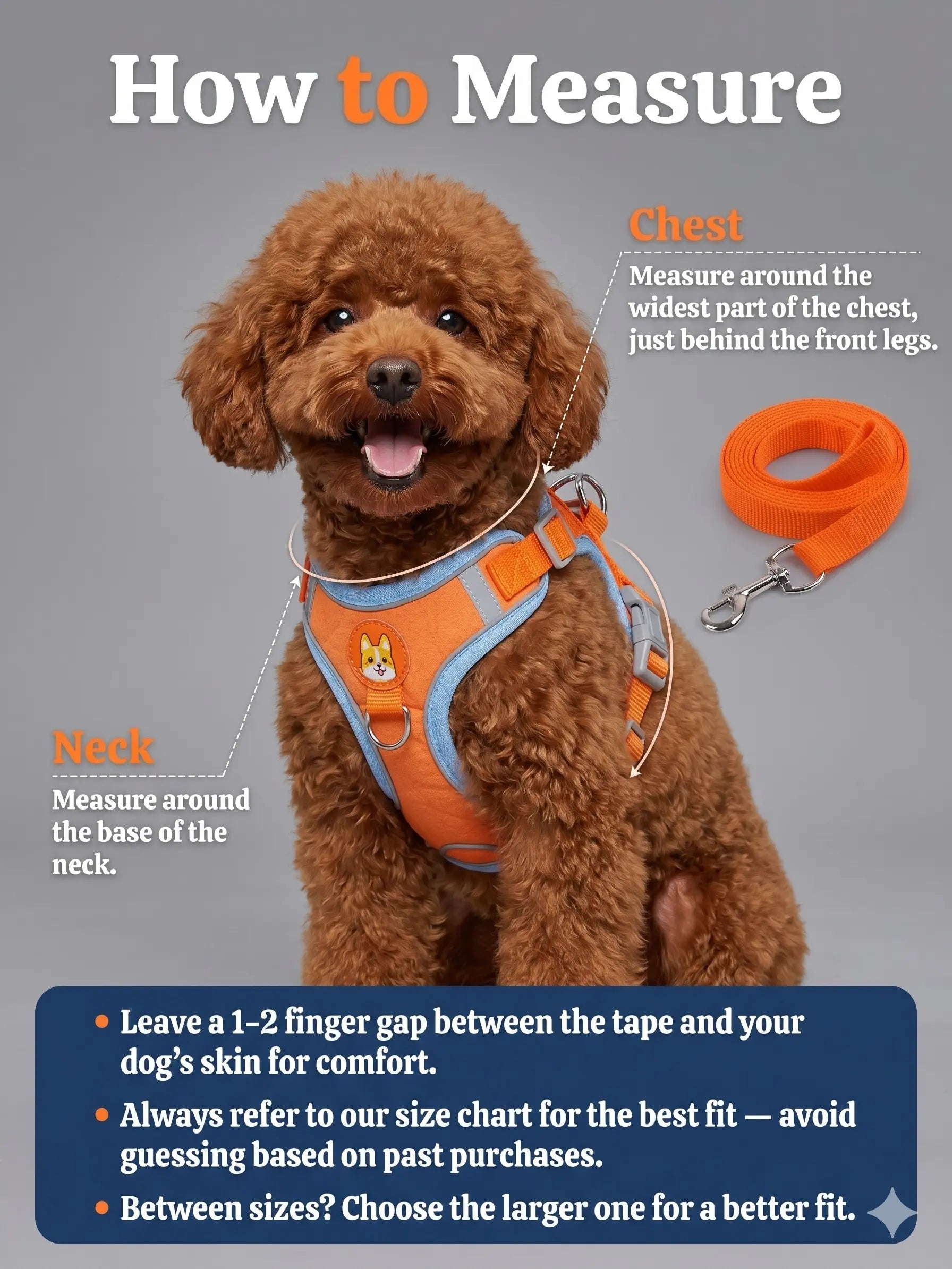 Adjustable 2-Pack Pet Harness and Leash Set, Soft Suede Vest, Durable Reflective Design, Tangle-Free Leash for Effortless Walking, Perfect for Daily Use and Nighttime Activities