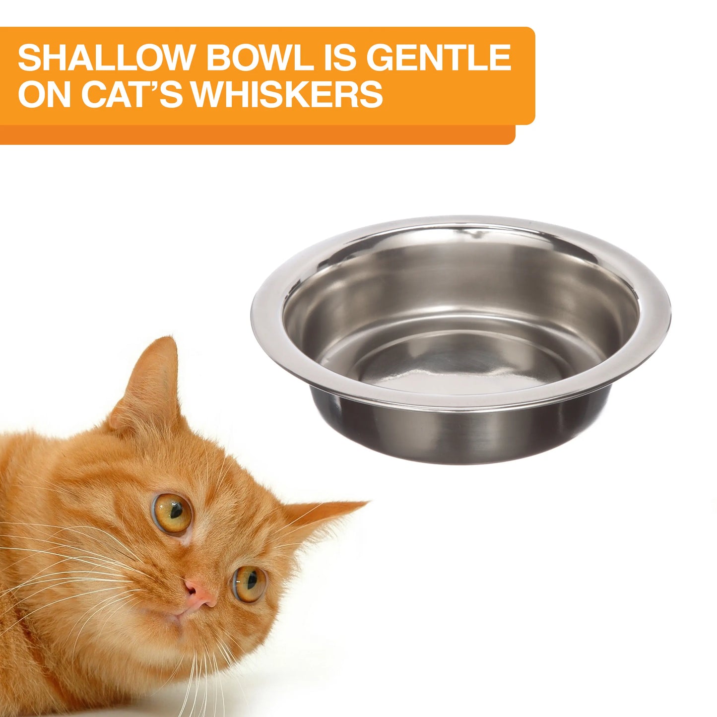 Neater Pets Neater Feeder Express for Cats - Elevated Mess-Proof Pet Bowls with Raised Walls for Enhanced Digestion - Dishwasher Safe and Easy to Clean - Made in the USA
