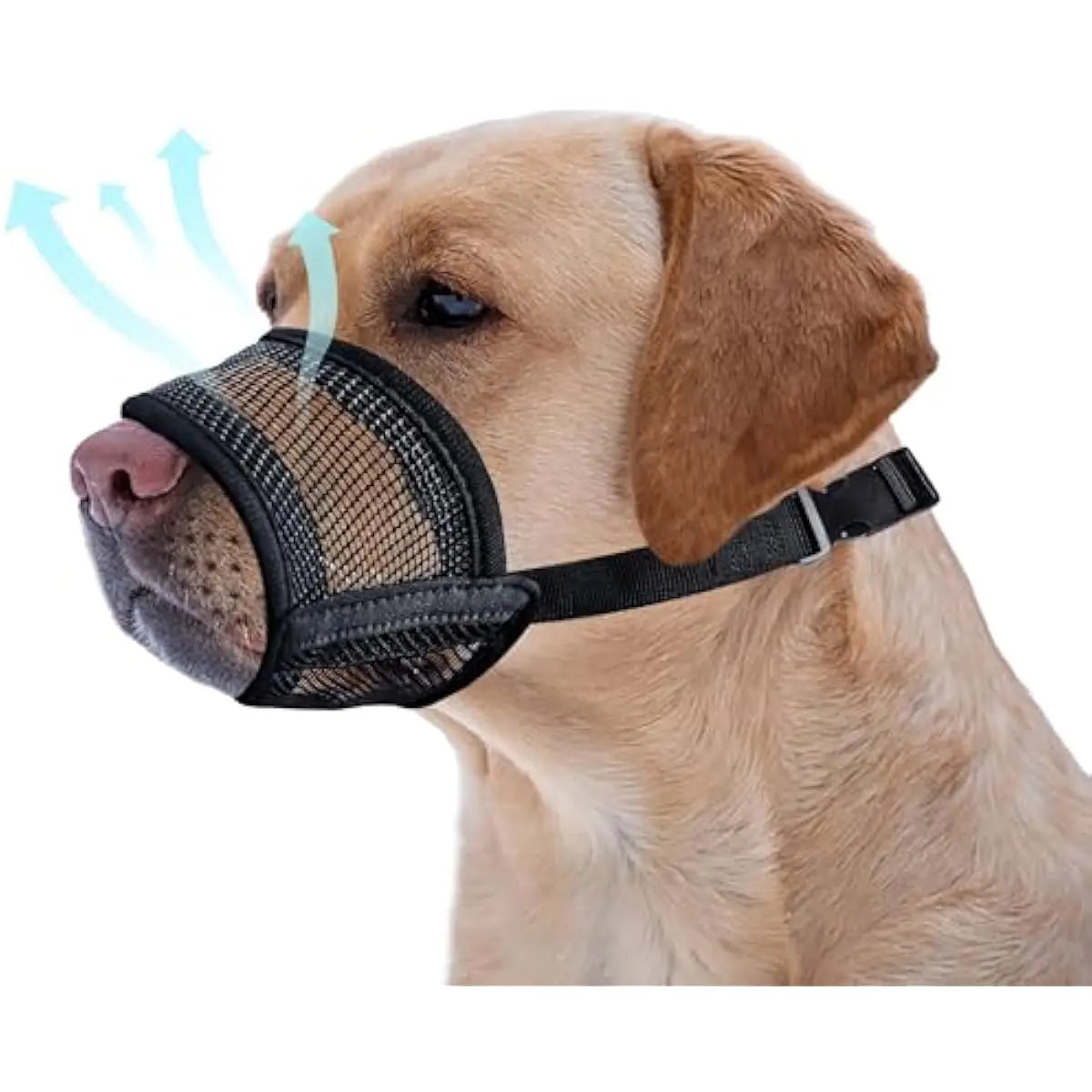 Adjustable Air Mesh Dog Muzzle for Various Breeds - Prevents Biting, Chewing, and Licking