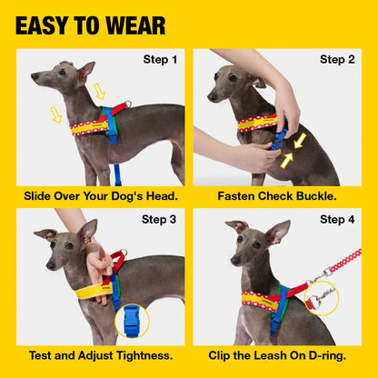VETRESKA Moma Adjustable Dog Harness and Leash Set for Small to Medium Dogs, No Pull Design for Walking and Training, Anti-Twist Pet Lead Combo