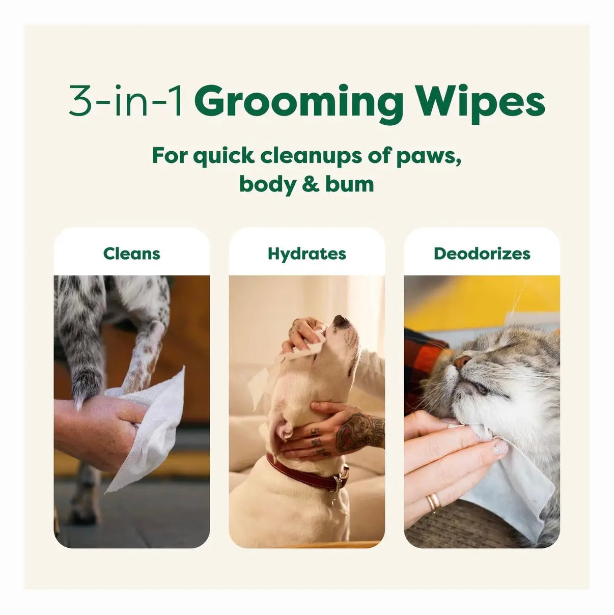 Earth Rated Dog Grooming Wipes with White Tea & Basil - 100 Count