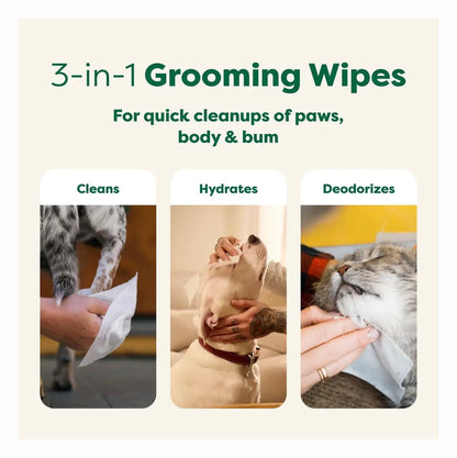 Earth Rated Dog Grooming Wipes with White Tea & Basil - 100 Count