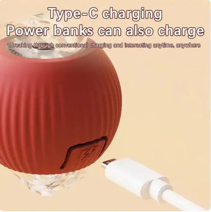 Interactive USB-Charged Rolling Ball Cat Toy with Teasing Stick - Durable, Safe, and Engaging for All Breeds