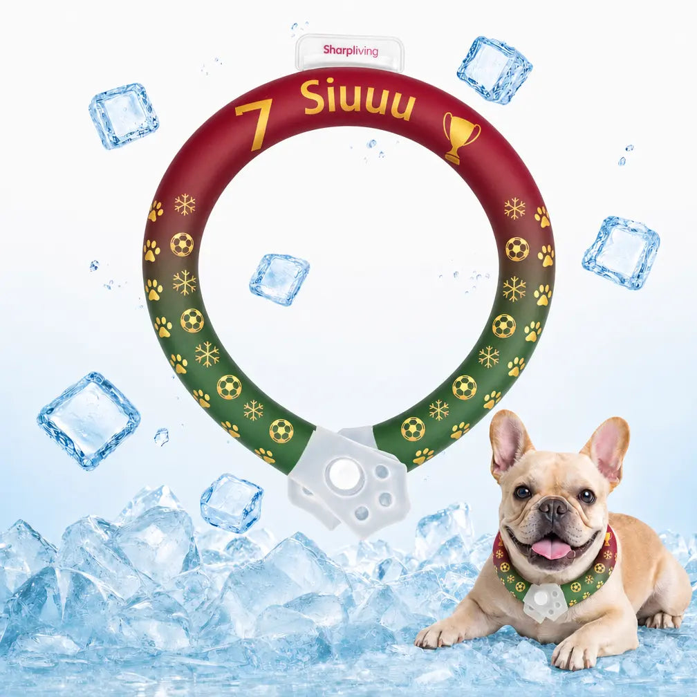 Reusable Pet Cooling Collar, 64°F PCM Ice Ring for Dogs & Cats, No Condensation Sweat-Free Dog Neck Ring, Fast Freeze Instant Heat Relief Neck Wrap for Summer Outdoor Walking, Travel & Anti-Heatstroke, Safe Premium TPU Chill Loop for Puppy & Large Dogs