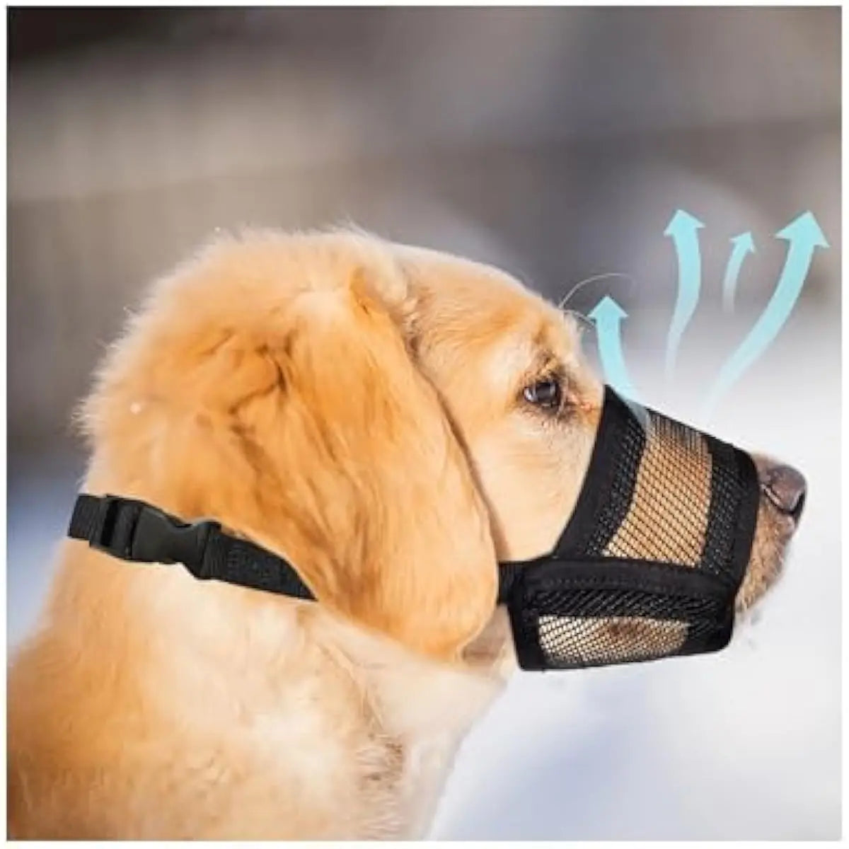 Adjustable Air Mesh Dog Muzzle for Various Breeds - Prevents Biting, Chewing, and Licking